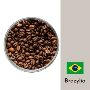Kawa Brazylia Santos 100g - jednorodna arabika ziarnista