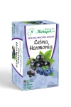 Herbata Owocowa Herbapol Leśna Harmonia 20x3g w saszetkach - naturalna bez aromatów