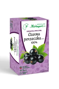 Herbata Owocowa Herbapol Porzeczka 20x3g w saszetkach - naturalna bez aromatów