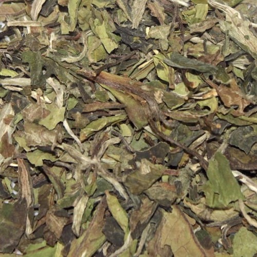 herbata_biala_na_wage_white_fujian_peony.jpg